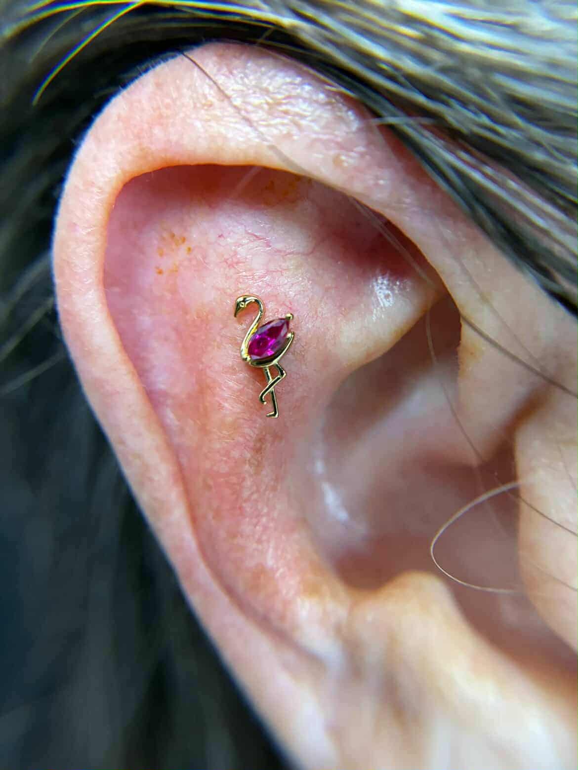 Piercing closeup